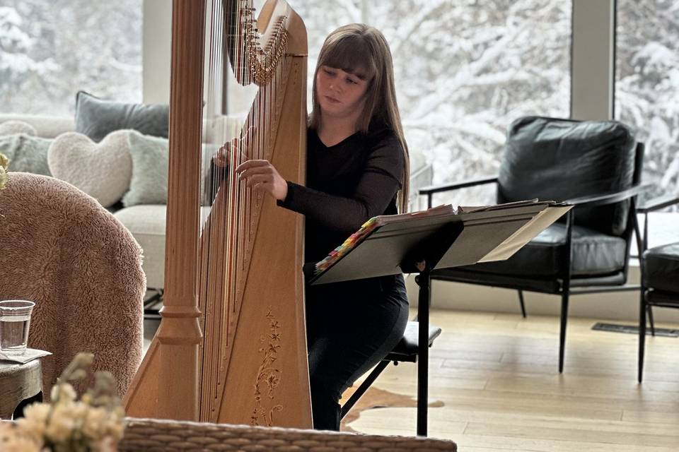 Jessica Cordner Harpist