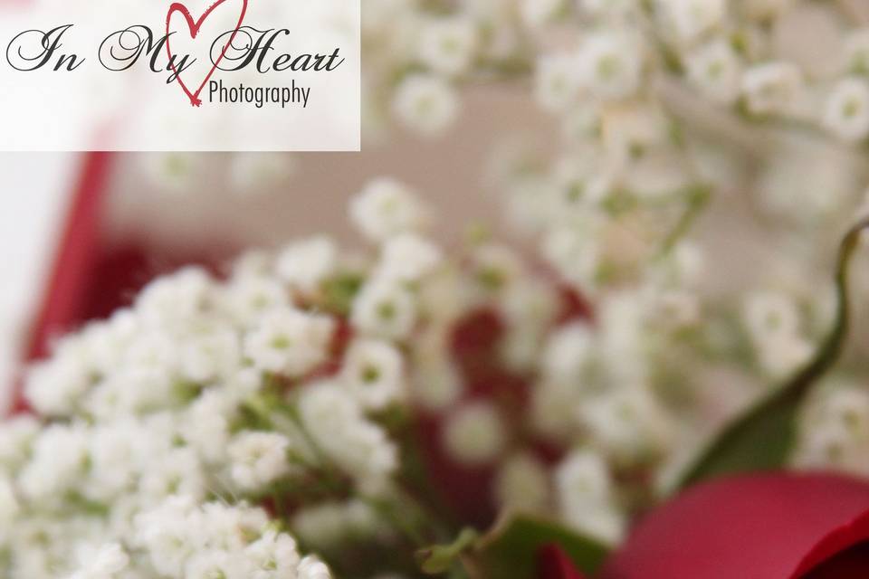 In My Heart Photography