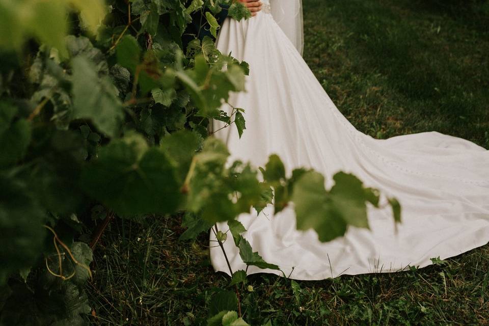 Vineyards