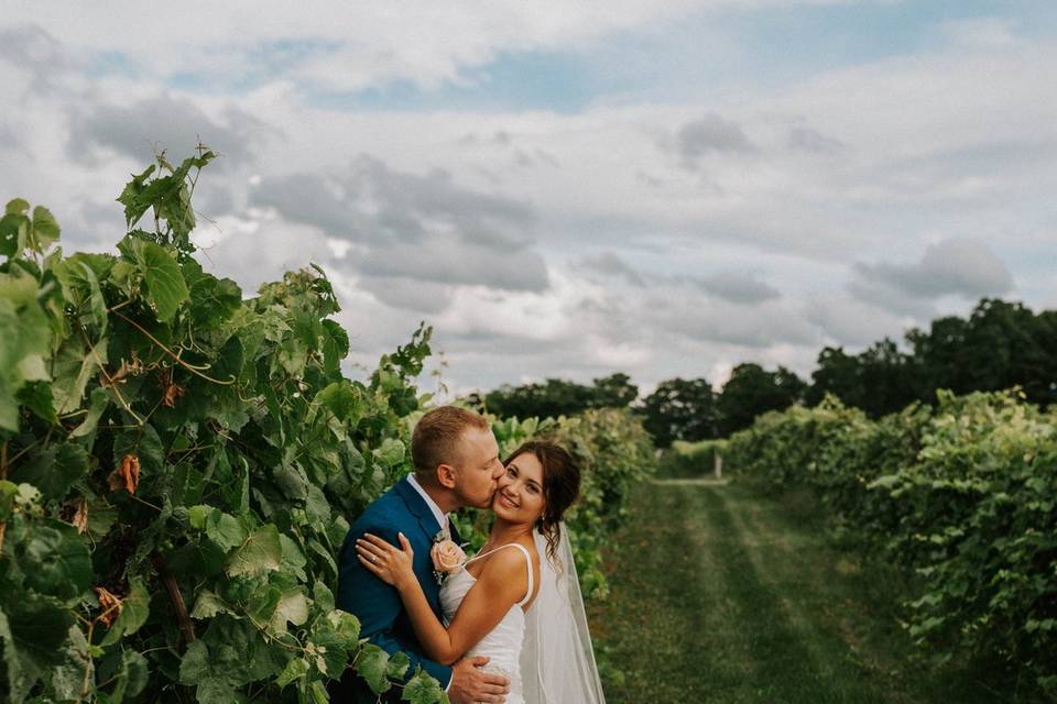 Vineyards