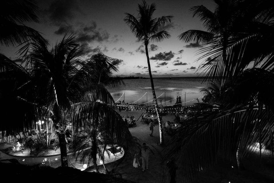 Renato Macassi Photography