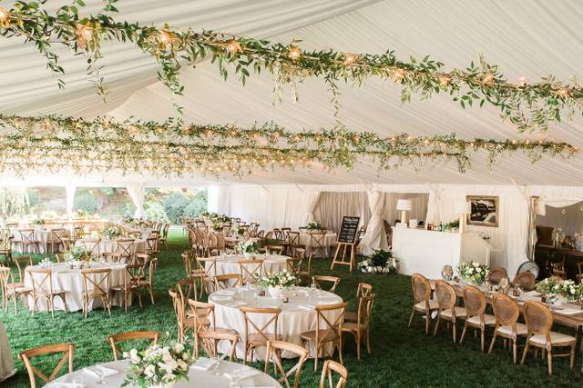 Wedding Reception