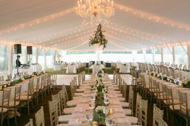 Wedding reception