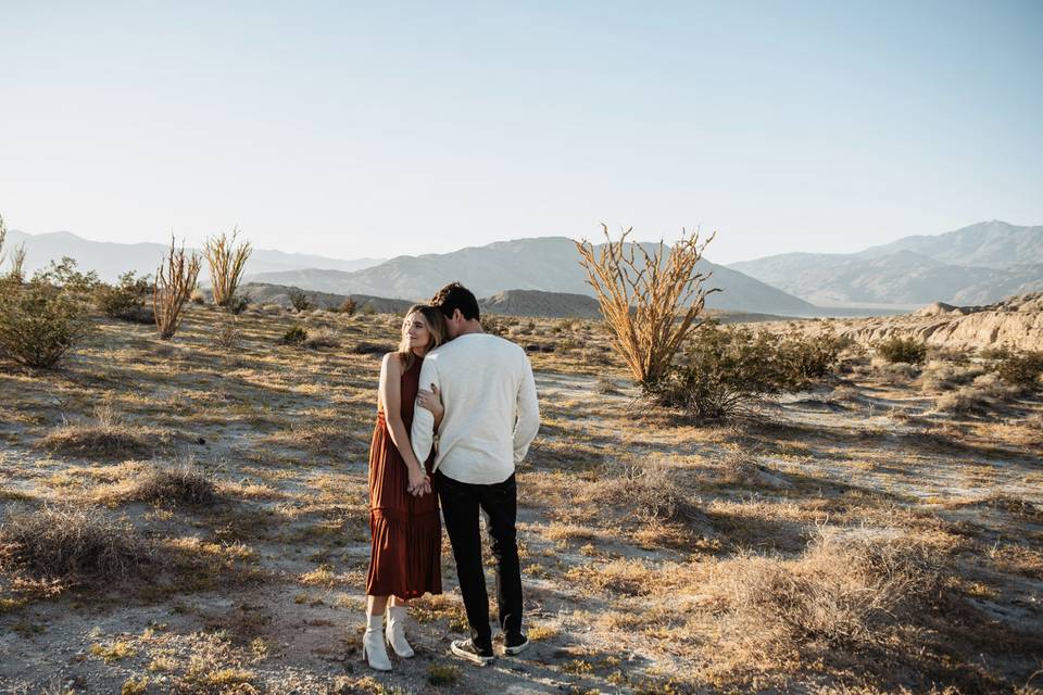 Anza Borrego Engagement