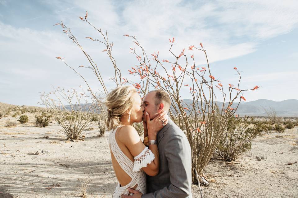 Anza Borrego Intimate Wedding