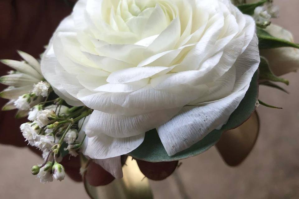 White rose