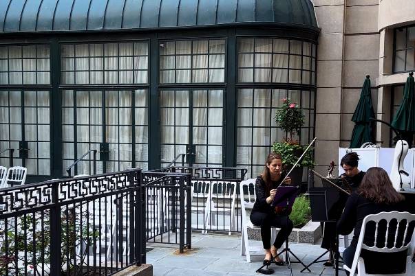 Courtyard Wedding