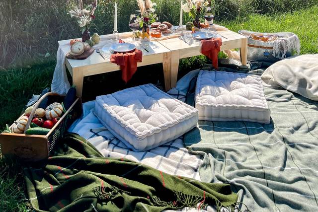 Picnic
