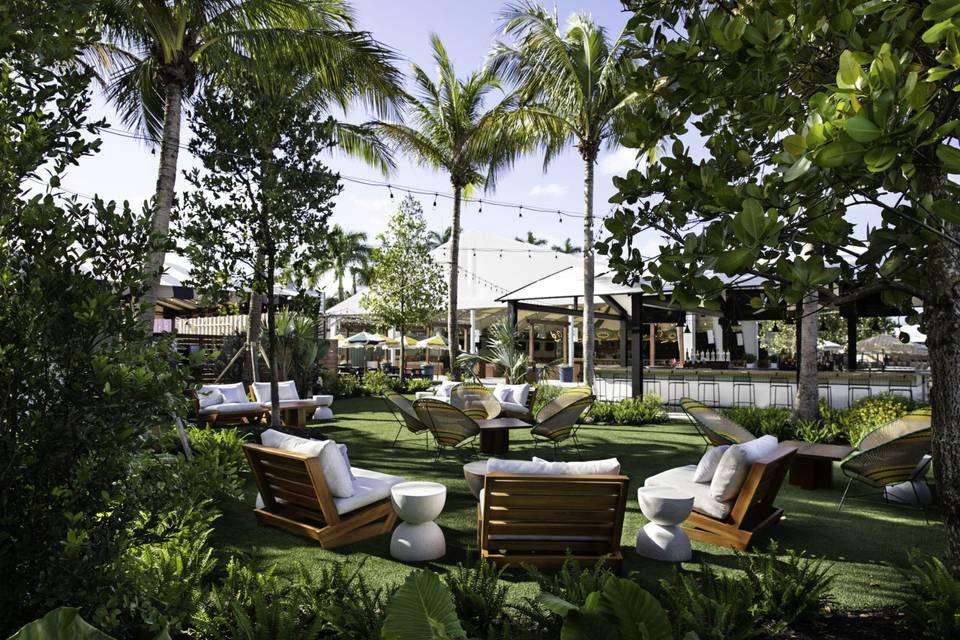 Palm trees and lounge furniture