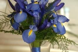 Castle Rock Florist