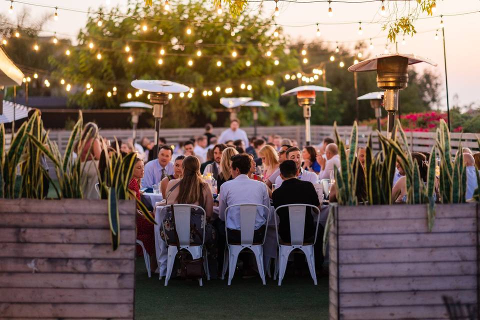 Wedding Nature Photography