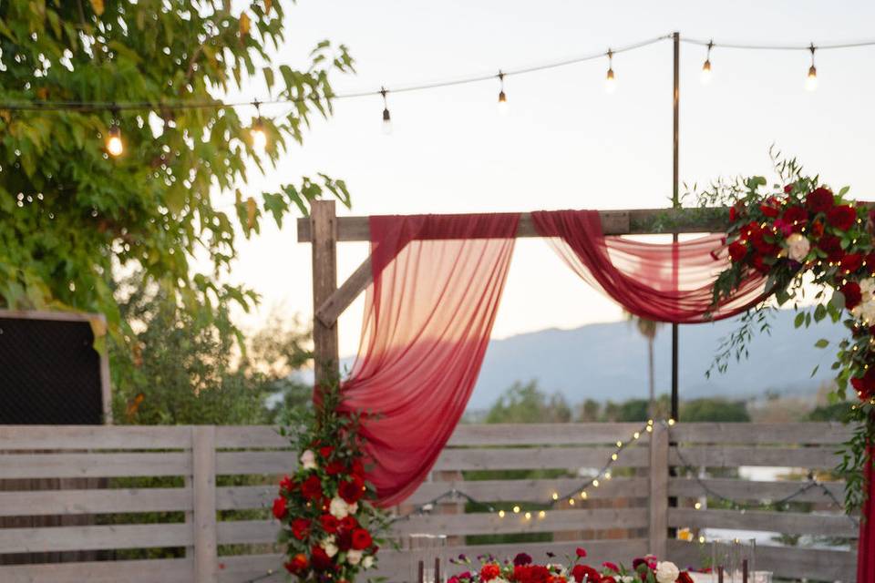 Amber Dolyak Photography