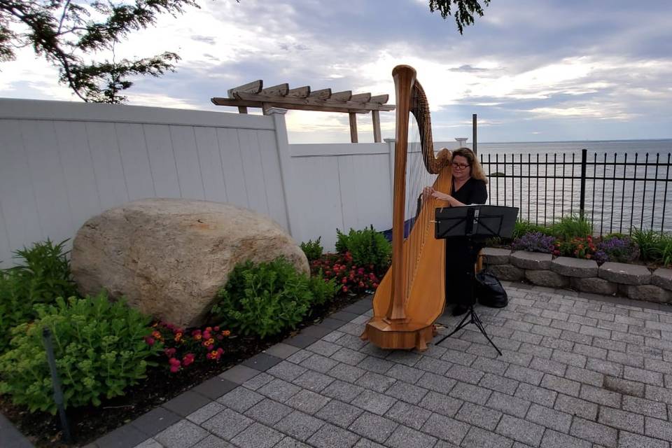 Harpist