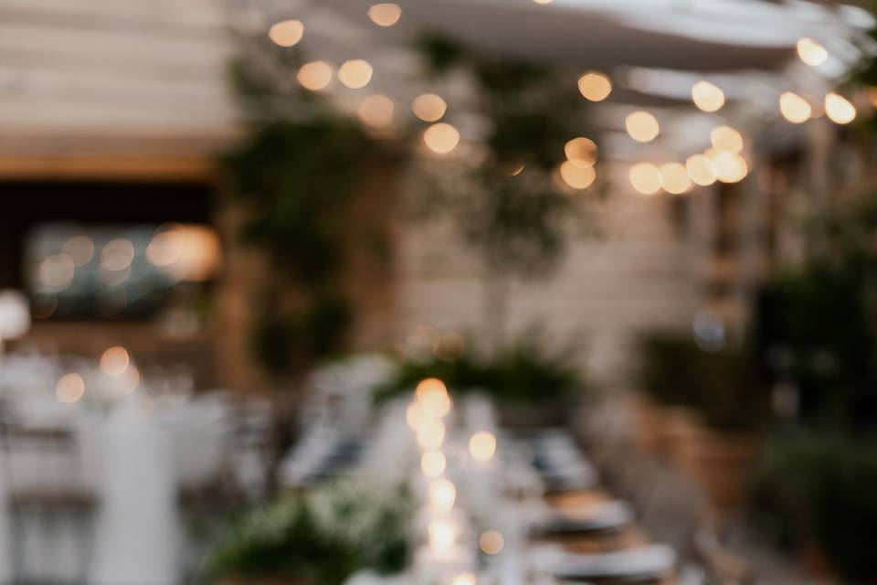 MirWood Events