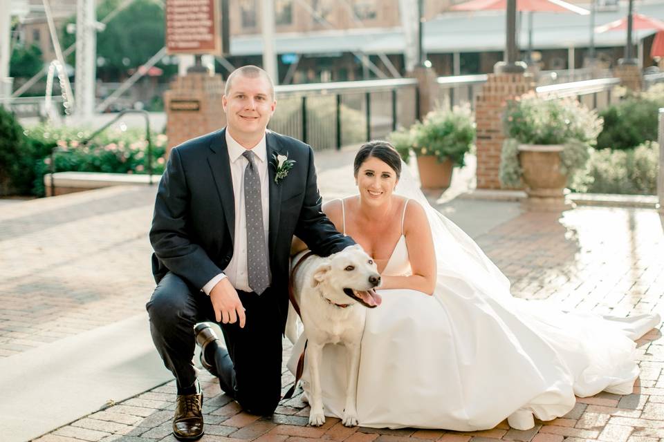 Puppy at wedding!