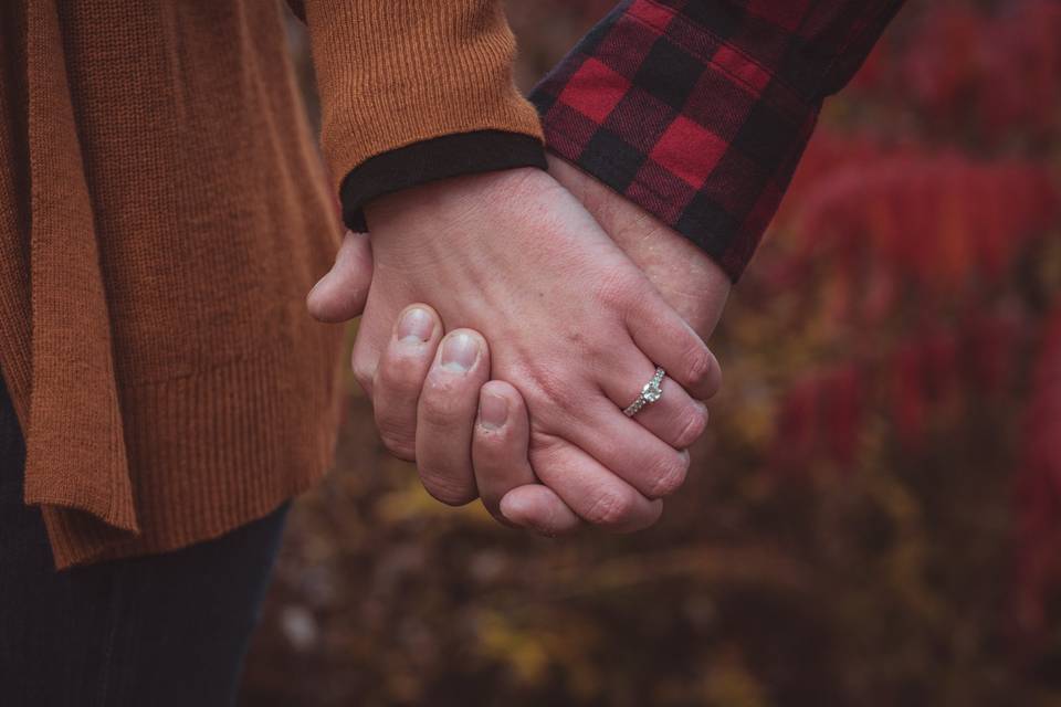 Hold my hand