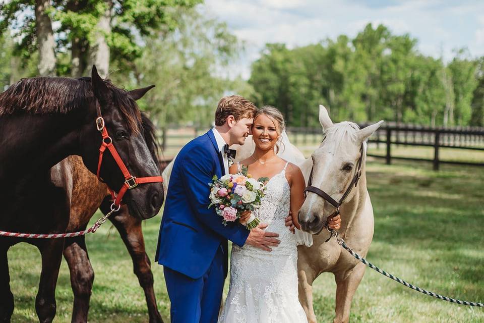 Wedding portraits w/ horses