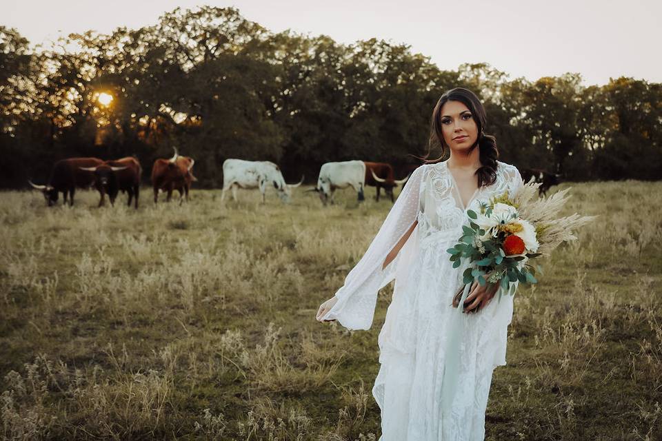 Loco Lake Longhorns