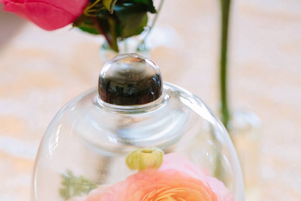 Maison Francis Design Co.