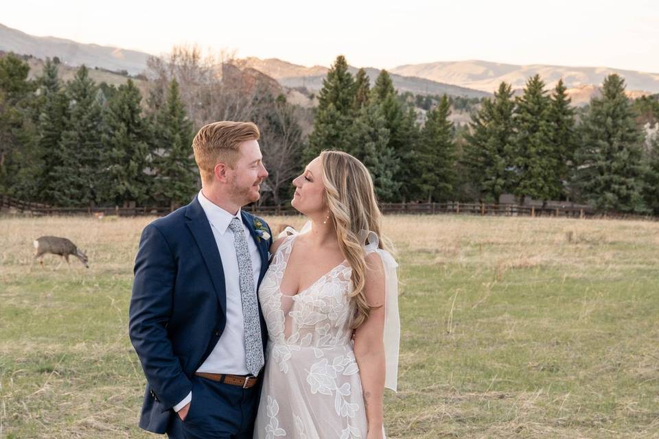 Denver | Bellagala