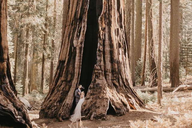 Sequoia Elopement
