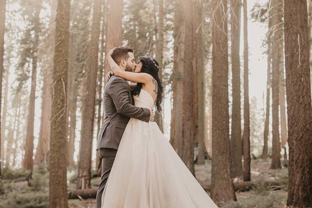 Sequoia Elopement
