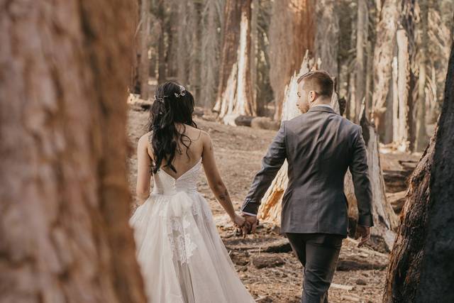 Sequoia Elopement