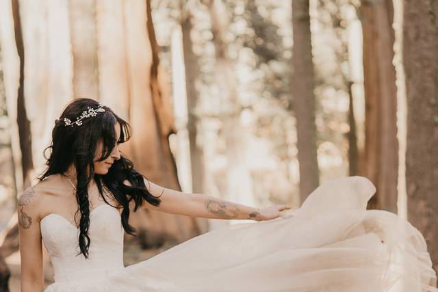 Sequoia Elopement