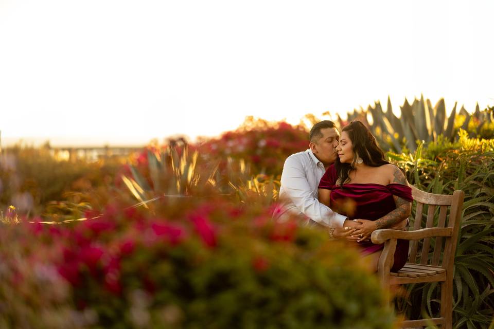 Hilary Peters Photography