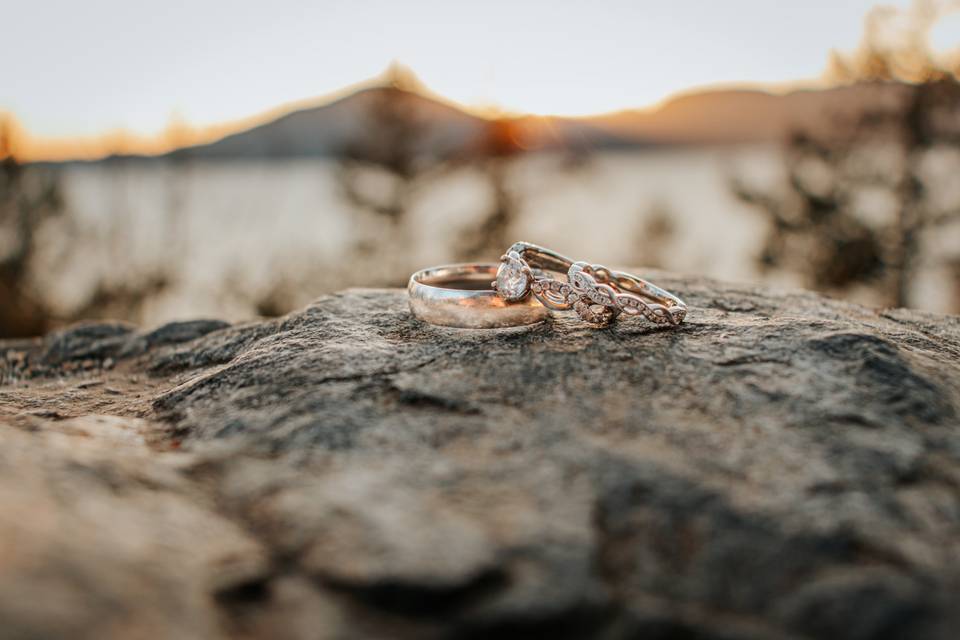 Documenting the rings