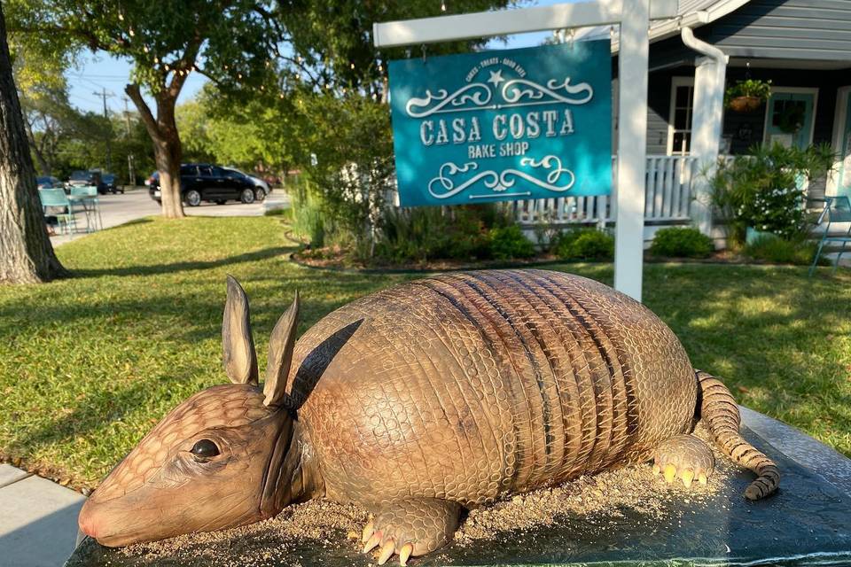 Armadillo groom's cake