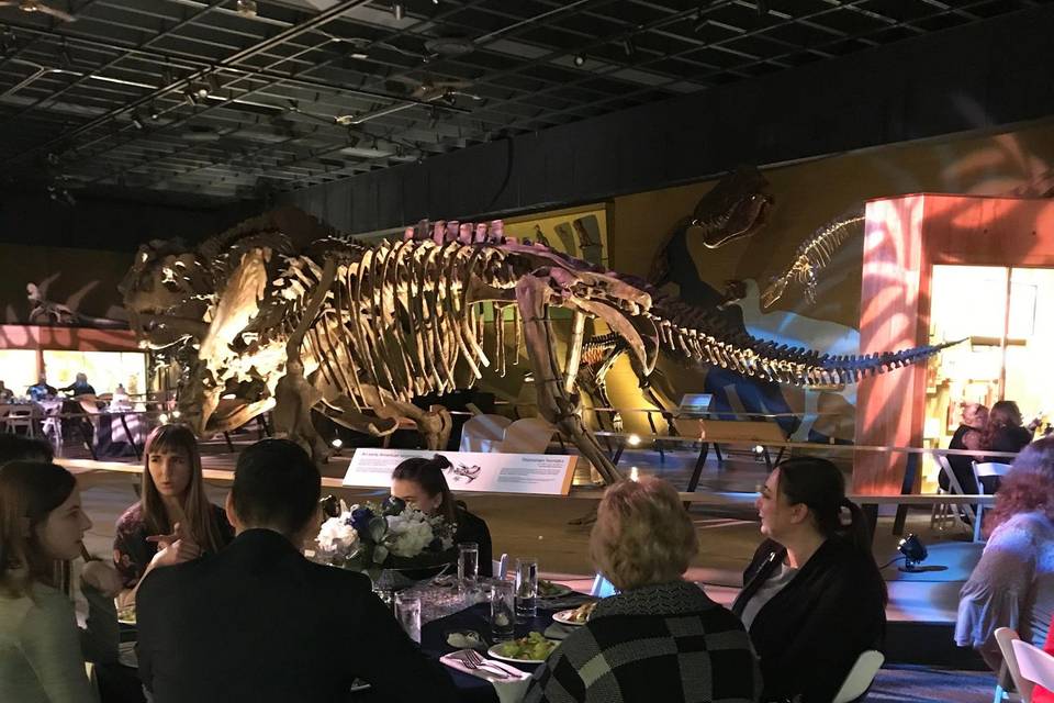 Dinosaur Exhibit Reception