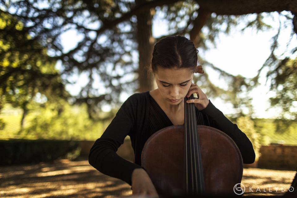 Romantic celloist