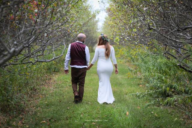 Above-Weddings.com