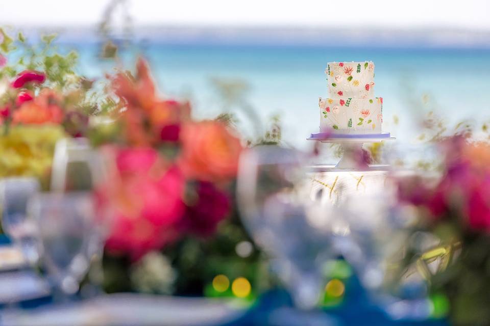 Beaver Island Elopement