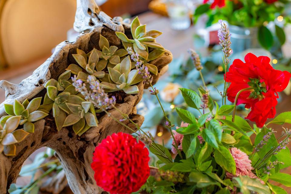 Centerpieces that are living