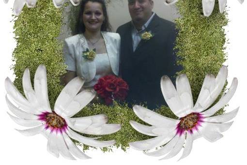 Sioux Falls Wedding Officiants - IA, MN, SD,and NE