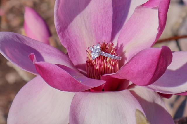 Savannah Hawkins Photography LLC