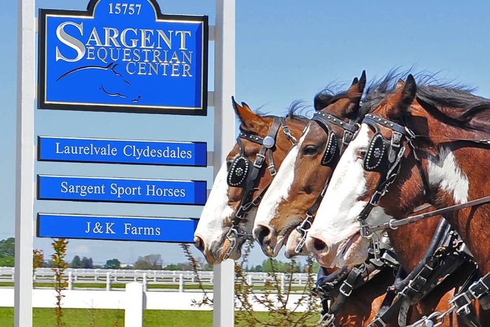 Sargent Equestrian Center