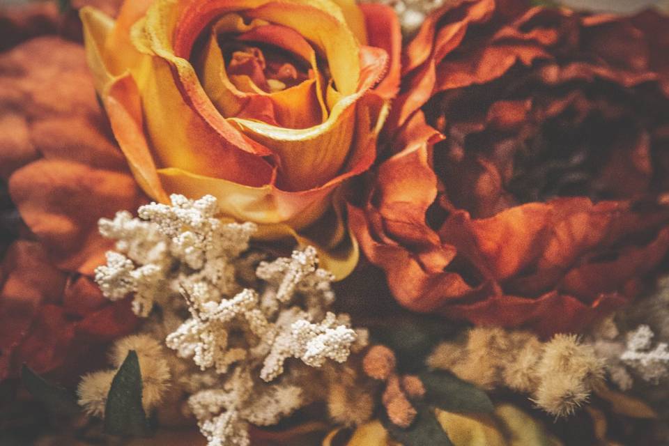 Autumn Flowers
