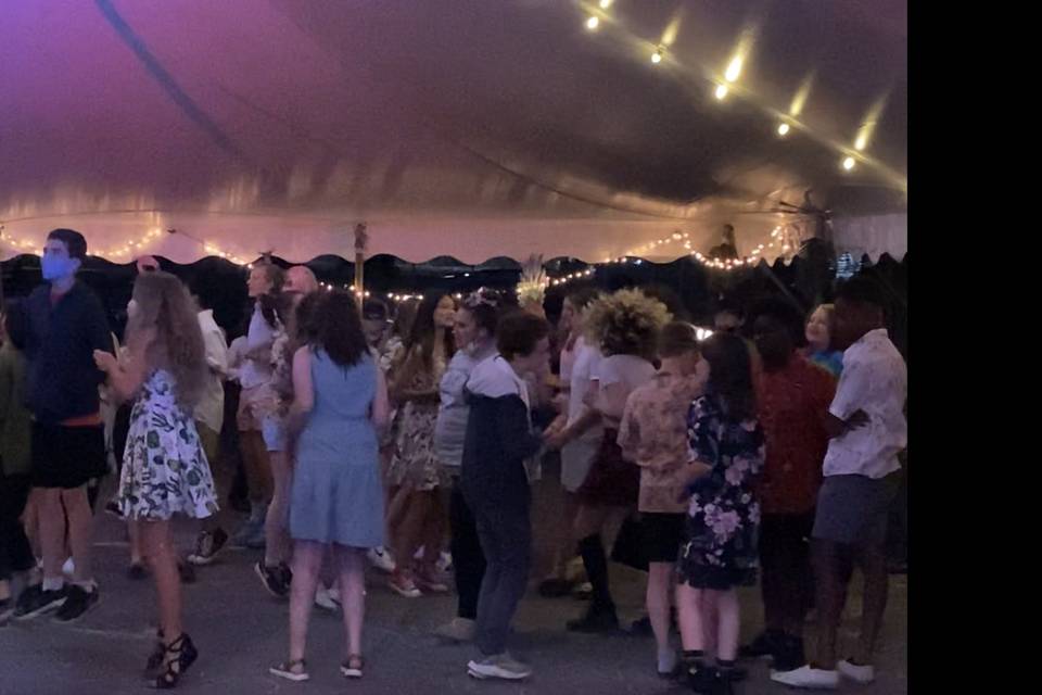 Wedding Fun