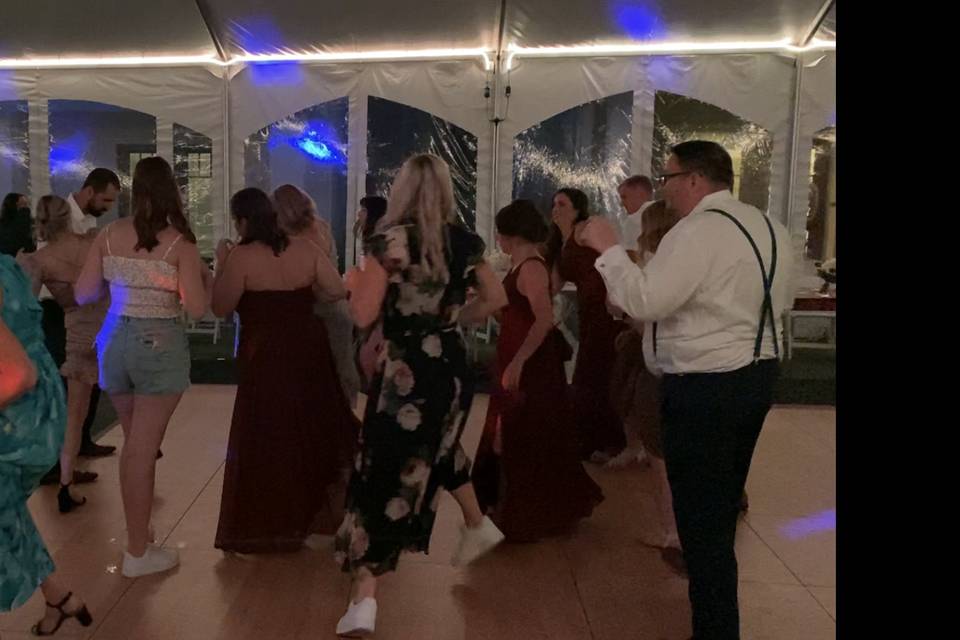 Wedding Fun