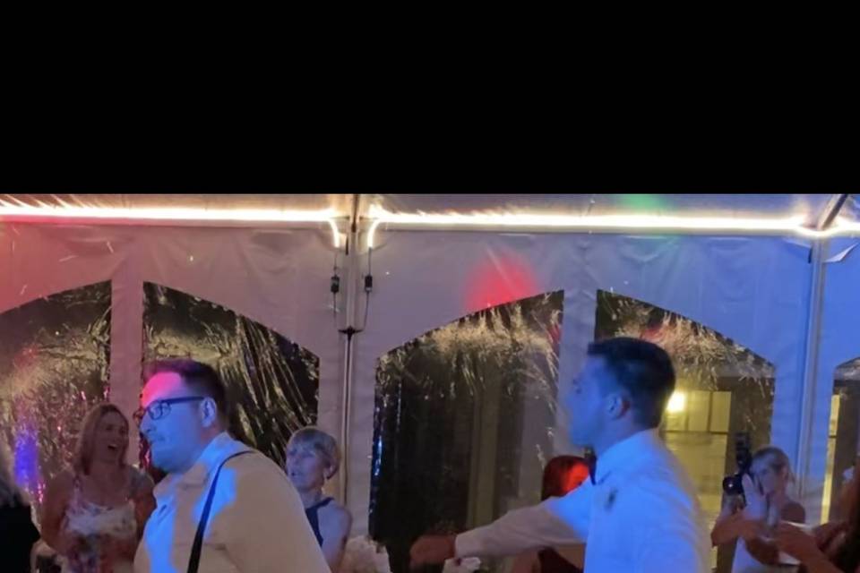 Wedding Fun