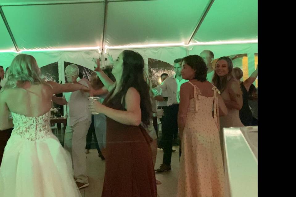 Wedding Fun