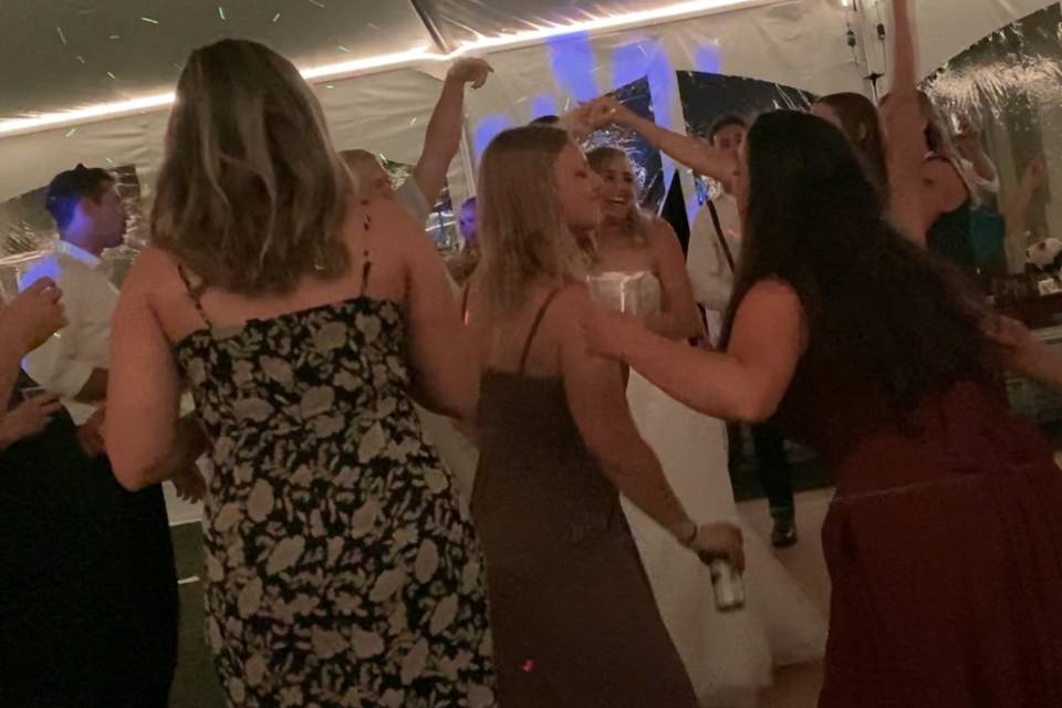 Wedding Fun