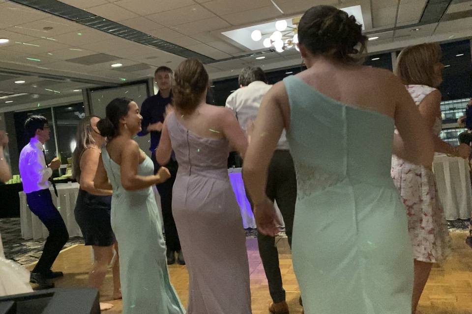 Wedding Fun