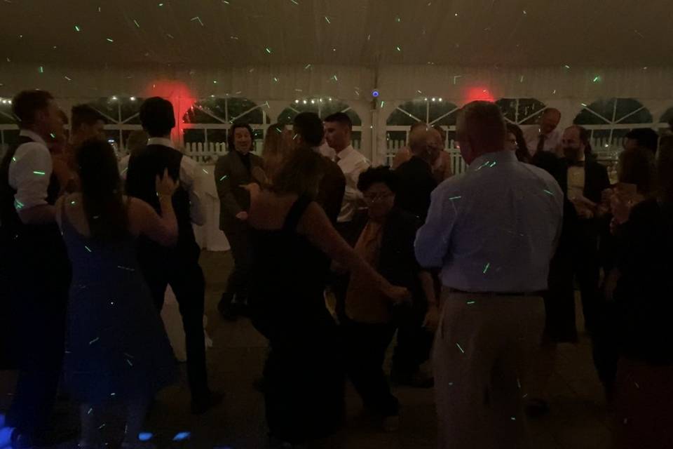 Wedding Fun