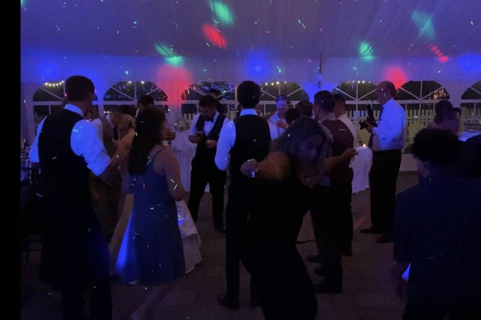 Wedding Fun