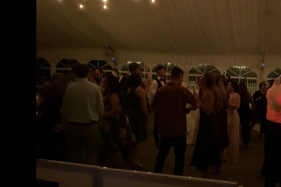 Wedding Fun