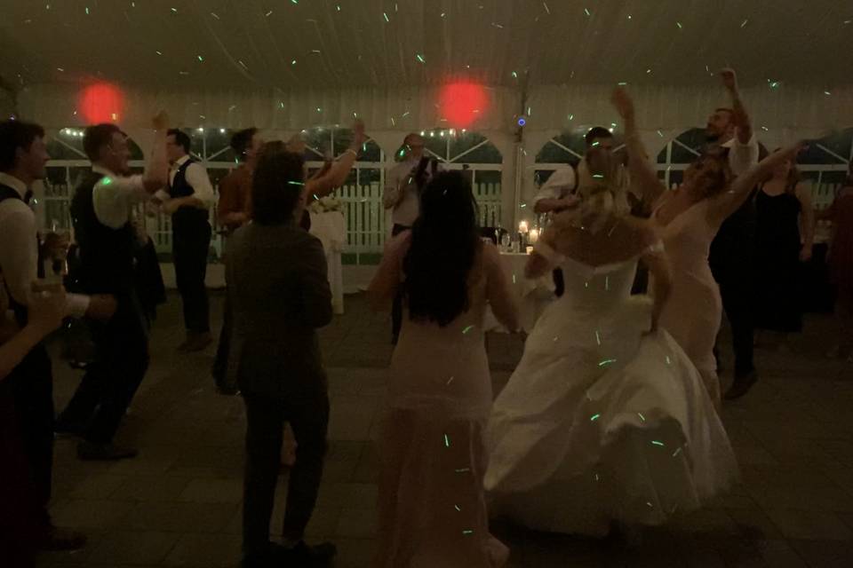 Wedding Fun